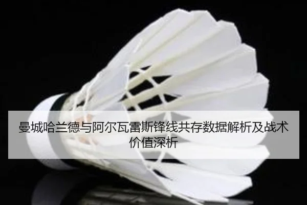 曼城哈兰德与阿尔瓦雷斯锋线共存数据解析及战术价值深析