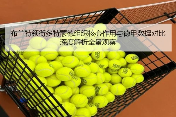布兰特领衔多特蒙德组织核心作用与德甲数据对比深度解析全景观察